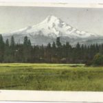 Mt. Hood Postcard