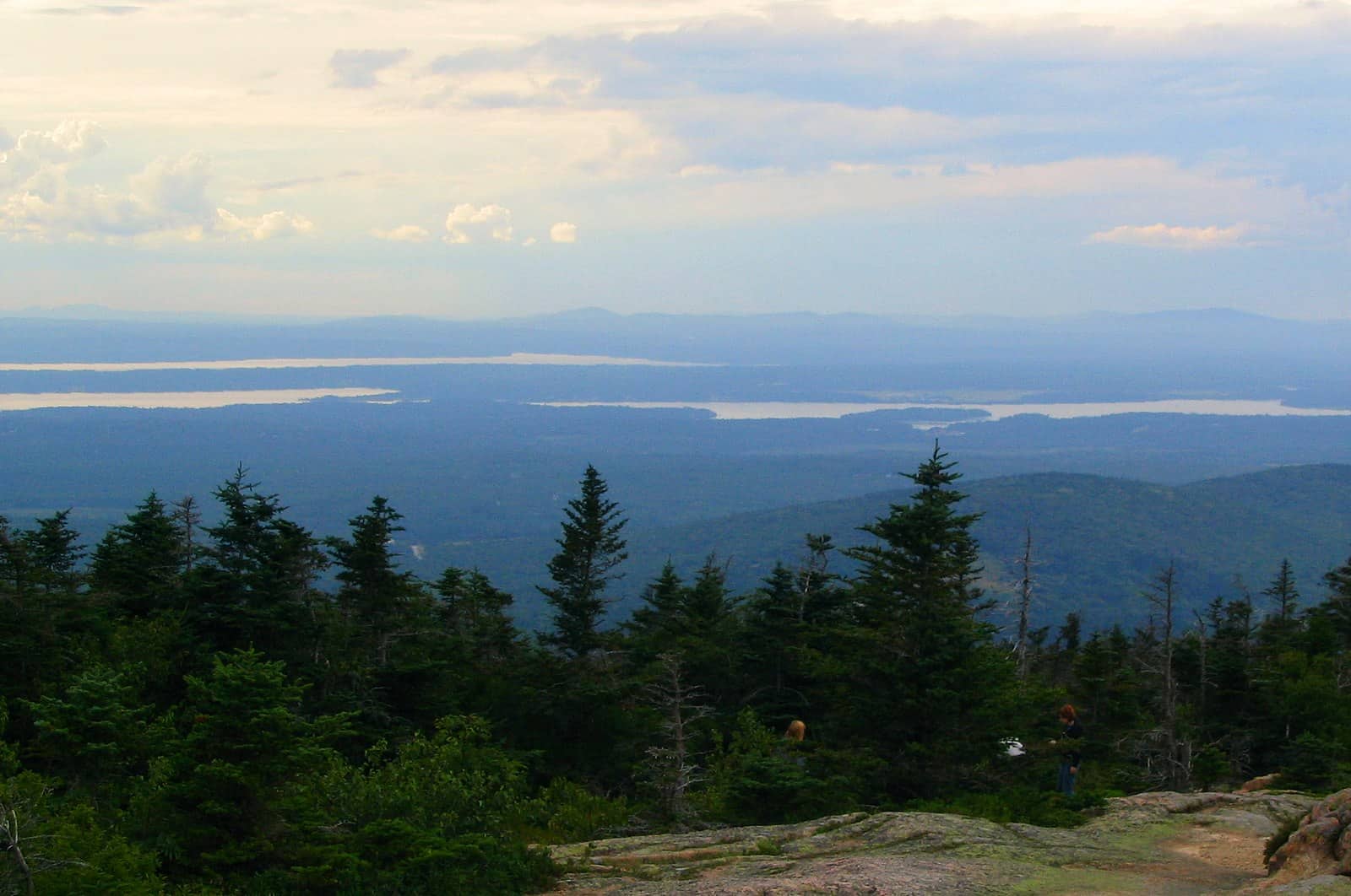 view of trees, water, and mountains in Acadia National Park