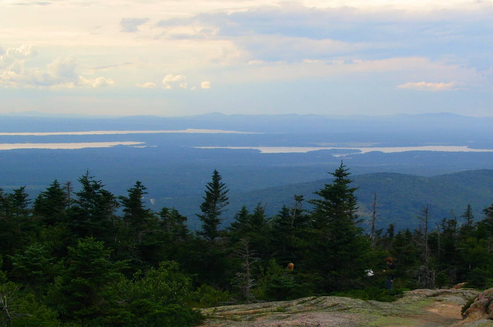 view of trees, water, and mountains in Acadia National Park