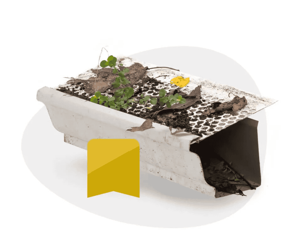 LeafFilter LeafFilter